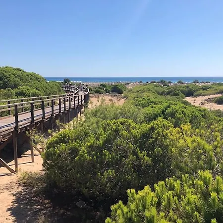 Didi's Hébergement de vacances